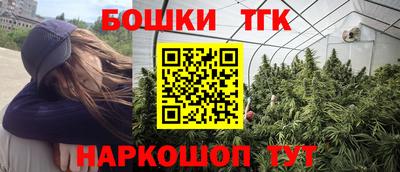 гашик Лесосибирск