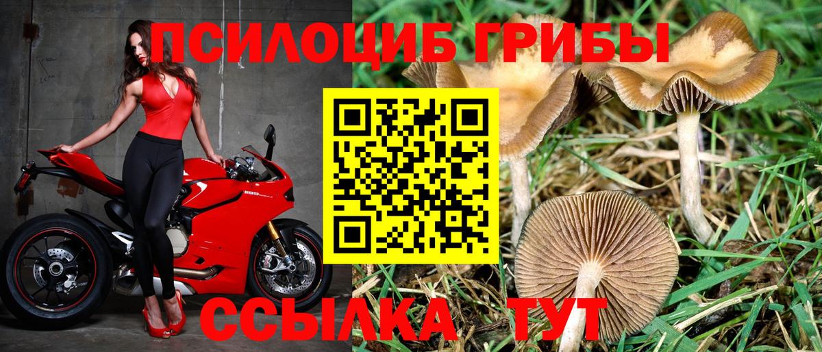 Галлюциногенные грибы мицелий Электрогорск
