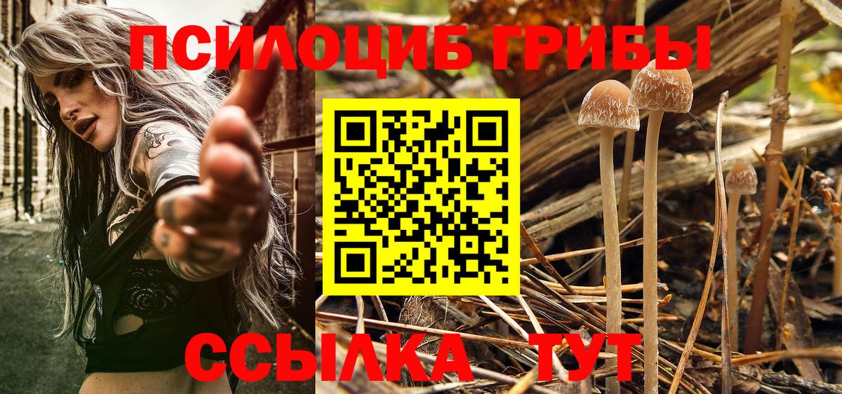 Галлюциногенные грибы мицелий  Вход с VPN  Электрогорск 